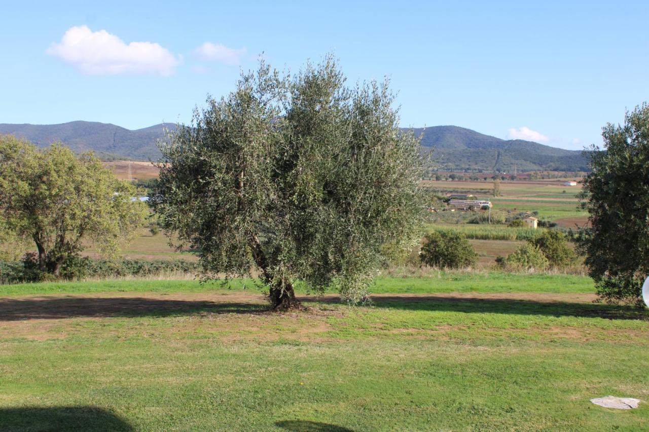 Villa Agriturismo Il Montoto Castiglione della Pescaia Exterior foto